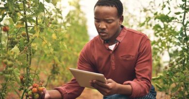 6 ways that PlantwisePlus tools are transforming digital development