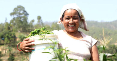 Community Business Facilitator: providing a service to farmers while increasing community access to nutritious food