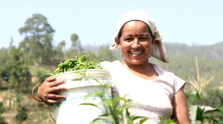 Community Business Facilitator: providing a service to farmers while increasing community access to nutritious food
