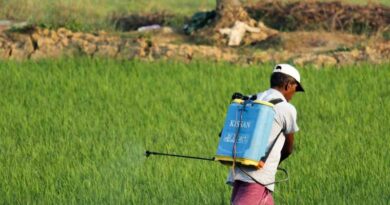 Indian Government released 106 new varieties of 31 major crops for Farmers