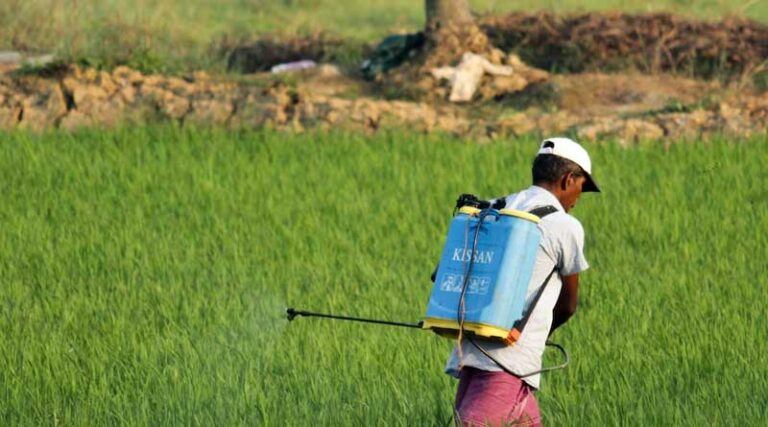 Indian Government released 106 new varieties of 31 major crops for Farmers