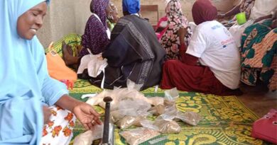 Mali women in conflict zones aim to expand markets for tasty, nutritious millet products