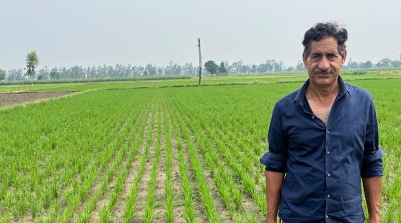 Bayer introduces agricultural system for direct-seeded rice with potential to reduce greenhouse gas emissions and water use by up to 40 percent
