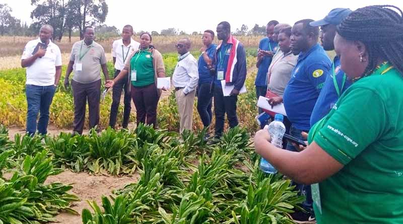 Strengthening Sanitary and Phytosanitary Systems in Burundi: A transformative training experience