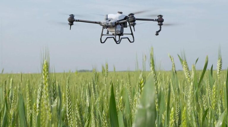 DJI Debuts Drone Light Show In Celebration Of The 43rd FAO World Food Day