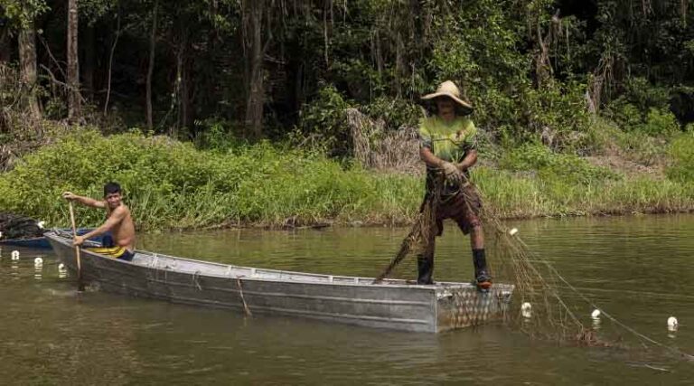 World Food Forum side-event discusses ways to unleash the potential of the Amazon bioeconomy
