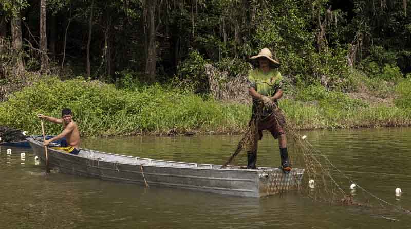 World Food Forum side-event discusses ways to unleash the potential of the Amazon bioeconomy