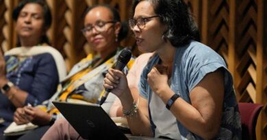 Experts explore deeper underlying issues behind gender and youth roles for the development of rice-based food systems