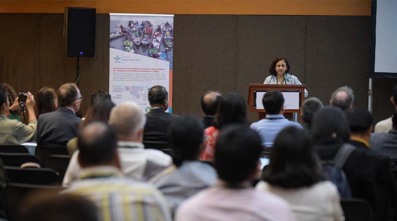 Innovative strategies for coping with salinity intrusion in Asian Mega-Deltas presented at IRC 2023