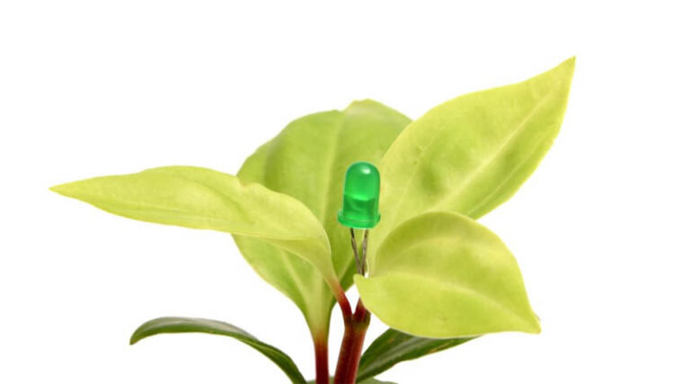 Bionema Launches RootVita®: A Groundbreaking Novel Biostimulant