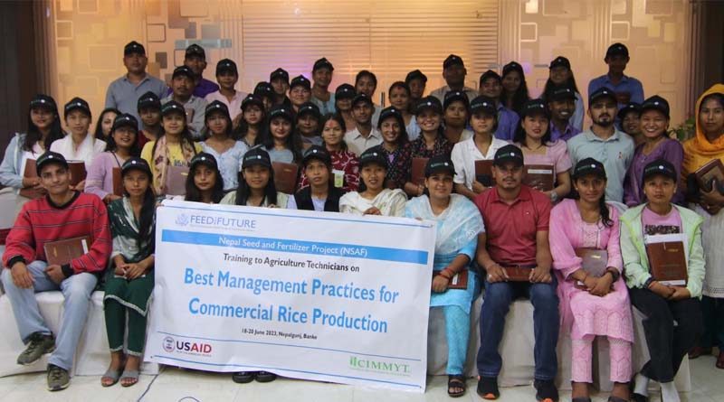 Extension capacity-building leverages Nepal soil, seed and science for rice farming