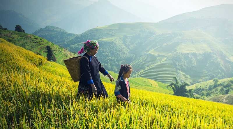 Training workshop held on risk assessment for pesticides use to help safeguard crops in Thailand