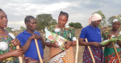 Sorghum seed sales profit and empower rural women in Tanzania