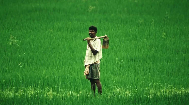 First Advance Estimates of production of major Kharif crops 2023-24