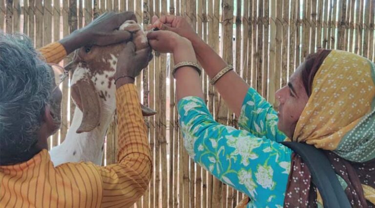 Pashu Sakhi, An Alternative Livestock Extension Approach
