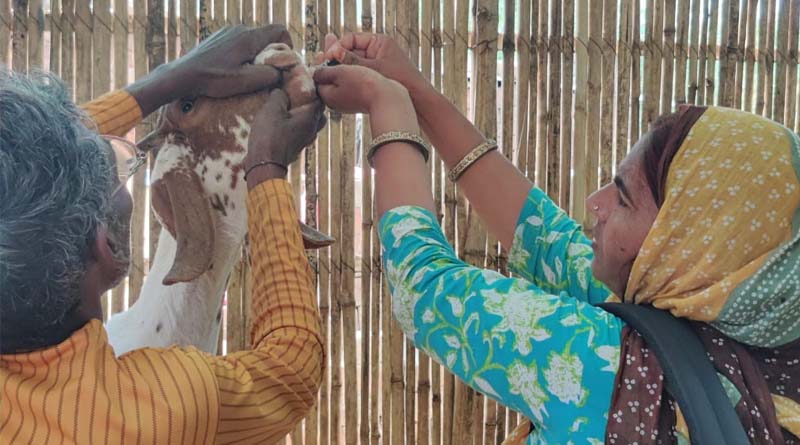 Pashu Sakhi, An Alternative Livestock Extension Approach