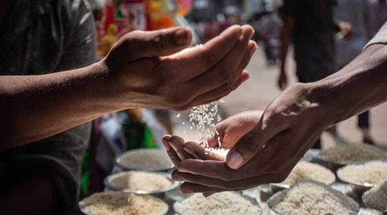 FAO Food Price Index dips in October