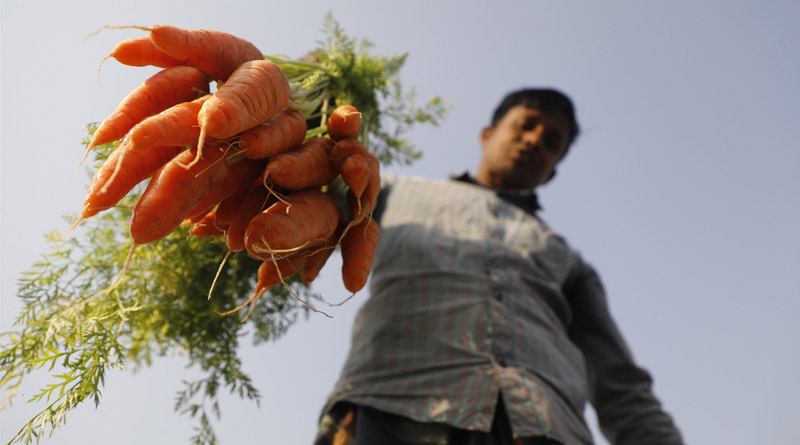 Hidden costs of global agrifood systems worth at least $10 trillion