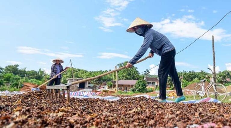 Agriculture investment is limited and farmers face many risks