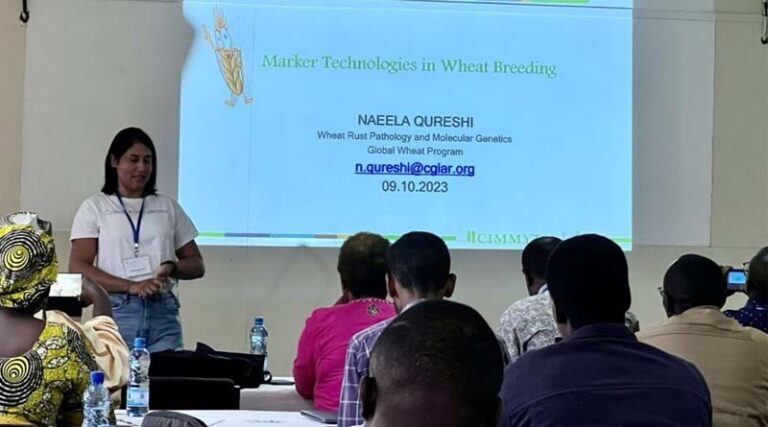 Scientists convene in Kenya for intensive wheat disease training