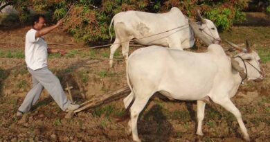 ICAR capable of dealing with the emerging challenges of agriculture: Dr. Pathak