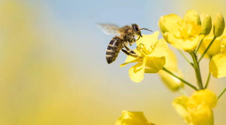 Sustainability as integral part of our corporate company strategy