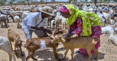 Preserving antimicrobials for the well-being of humans, animals, plants and ecosystems