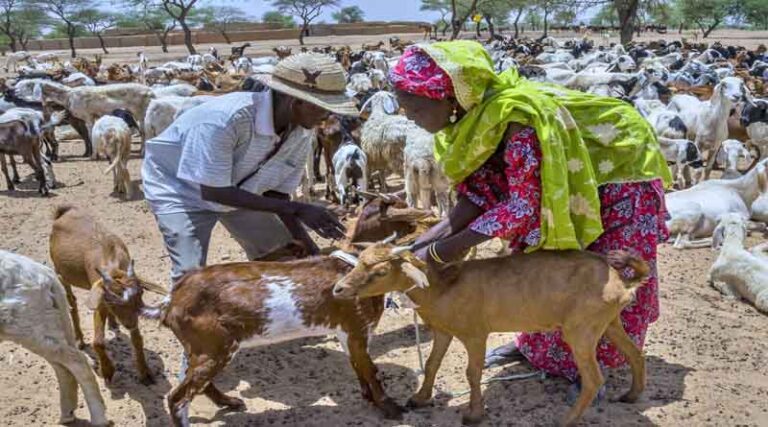 Preserving antimicrobials for the well-being of humans, animals, plants and ecosystems