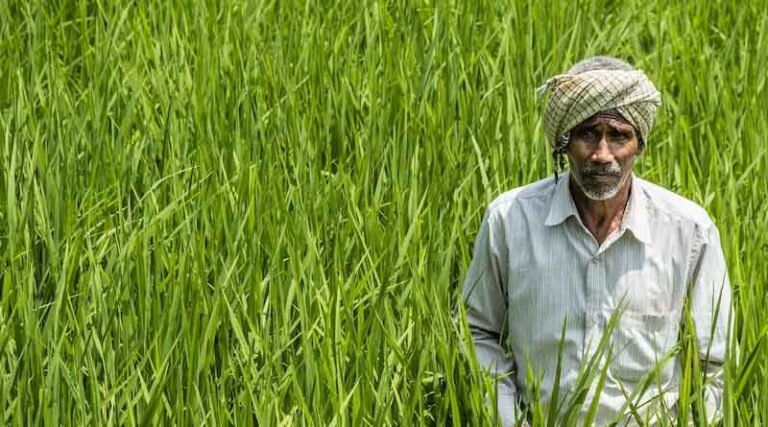 Will India have Food Security in 2047?