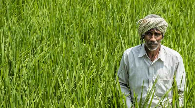 Will India have Food Security in 2047?