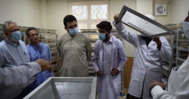 Trichogramma mass rearing facilities piloted in Pakistan
