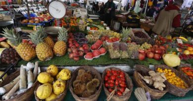 FAO-WHO 46th session of the Codex Alimentarius Commission adopts new standards