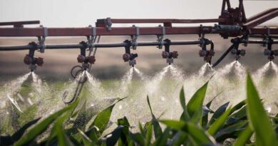 Yara helps farmers combat the effects of climate change and improve nutrient use efficiency