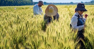 El País: A new scientific revolution to transform food systems