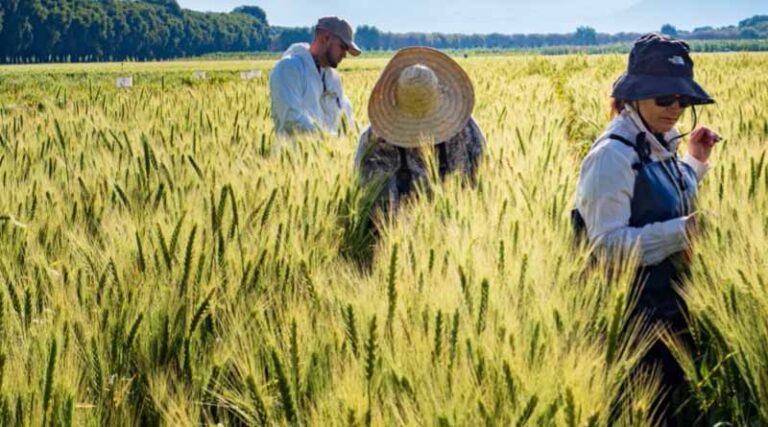 El País: A new scientific revolution to transform food systems