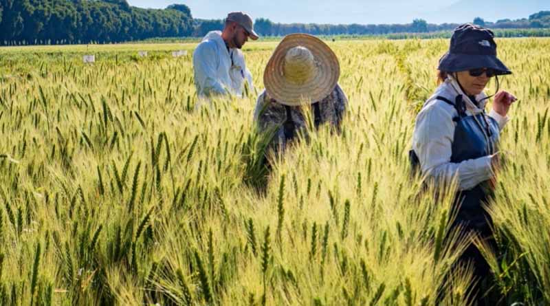 El País: A new scientific revolution to transform food systems