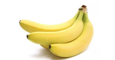 Banana Variety Grande Naine (AAA)