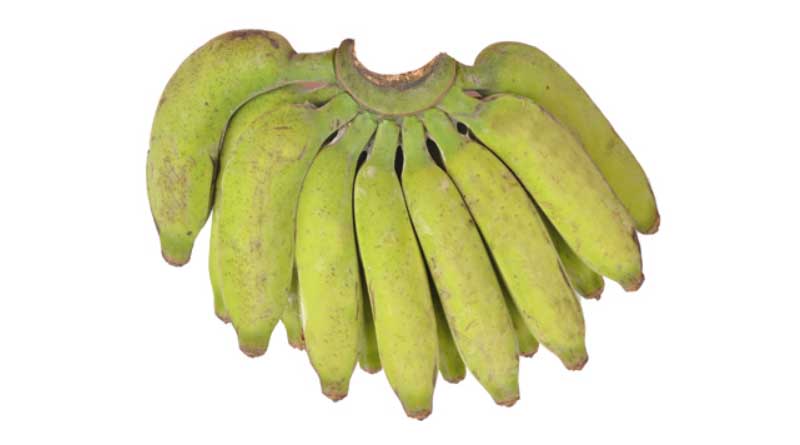 Banana Variety Virupakshi (AAB)