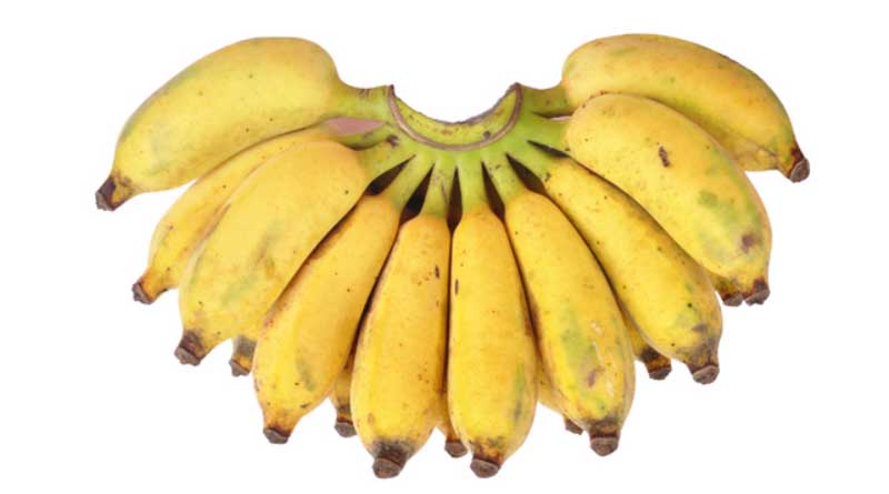 Banana Variety Karpuravalli (ABB)