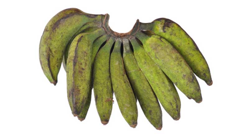 Banana Variety Pacha Nadan (AAB)