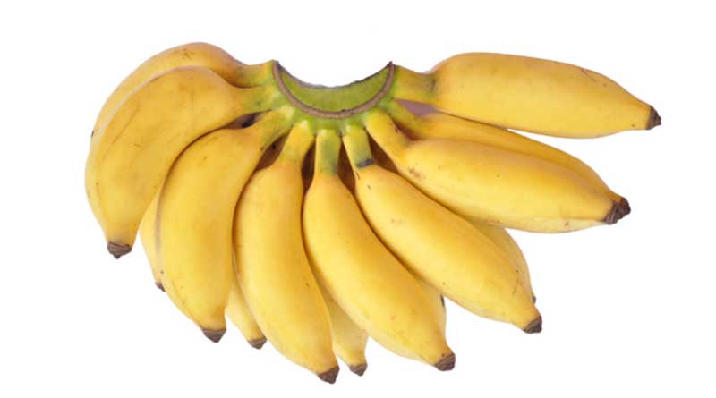 Banana Variety Ney Poovan (AAB)
