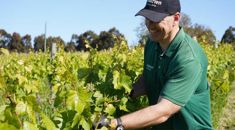 Scott Paton’s research leads to win at Wine Industry Supplier Association Awards