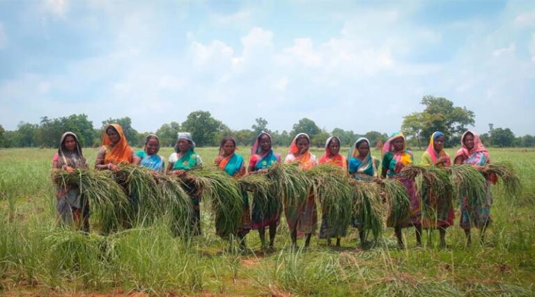 Palladium Prioritizing Sustainable Results To Enhance Farm Income