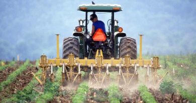 Brazil: New Pesticide Law in force, potential to reach 4400 registrations