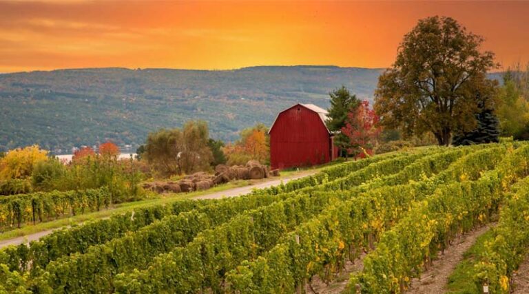 Toasting the New Year in Canada with New York Wines