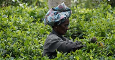 What must Indian farmers learn from Sri Lankan farmers?