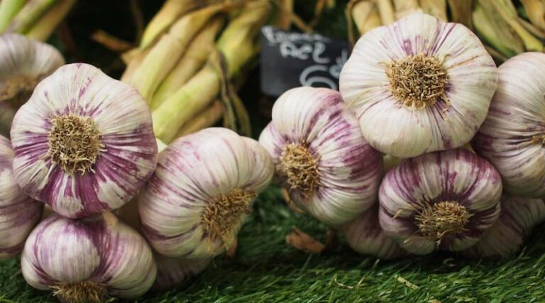 How to use chemical and organic fertilizer ratio in garlic at 50% and 70%
