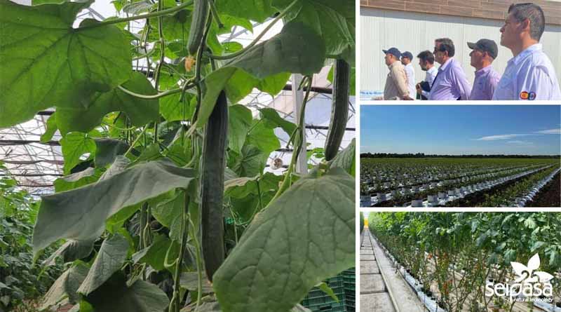 Seipasa, Viva Organica and Natural Grow: a story to tell, a journey together and a challenge ahead