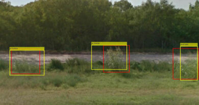 First in the World: Google Weed View? Professor Trains Computer to Spot Invasive Weed