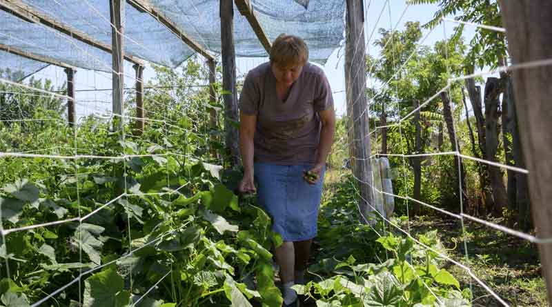 Despite multiple challenges, food insecurity is decreasing in Europe and Central Asia